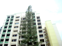 woodlands-drive-16 photo thumbnail #6